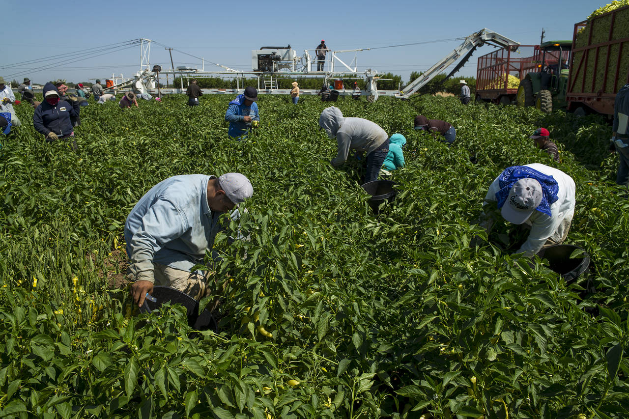 LATAM Remit Services in
