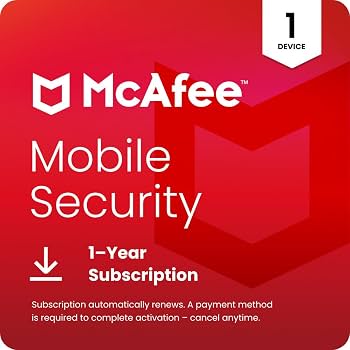 BlindPay Mobile Security